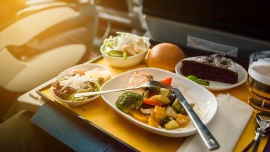 Носталгия по пътуването: Паркиран самолет в Япония сервира обяд за 460 евро