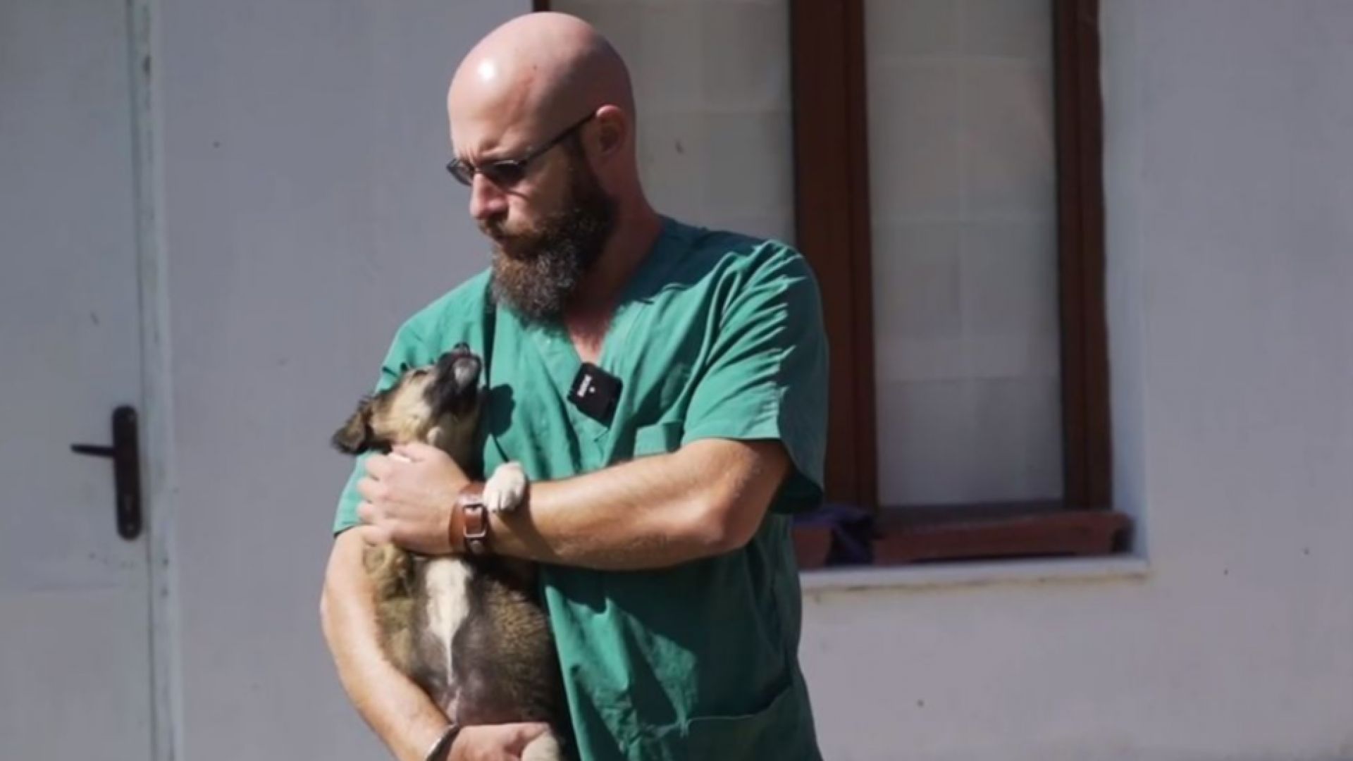 Всяко осиновено куче върви с подарък в Деня на бездомните животни