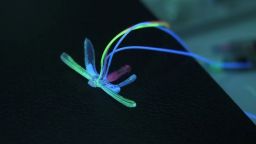 Роботизирано водно конче може да следи състоянието на водоеми (видео)