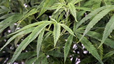 Испанската полиция разби организирана престъпна група за трафик на наркотици