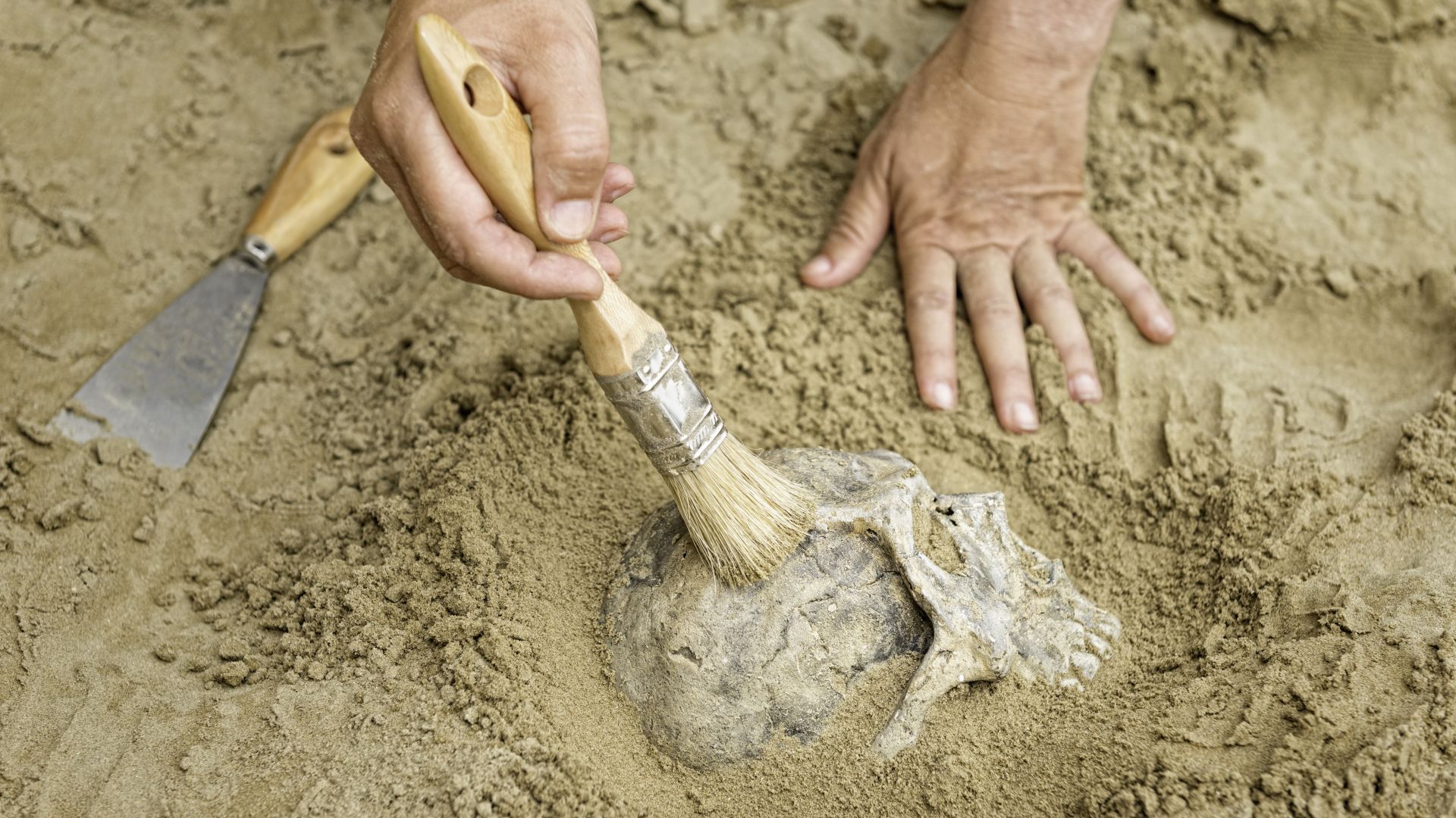 Археолози откриха скелет на 2700 години от непозната досега човешка група