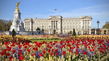Градините на Бъкингамския дворец отварят за пикник и разходки (видео)