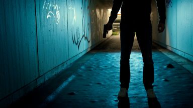 Американският щат Тенеси узакони вчера носенето на огнестрелно оръжие без