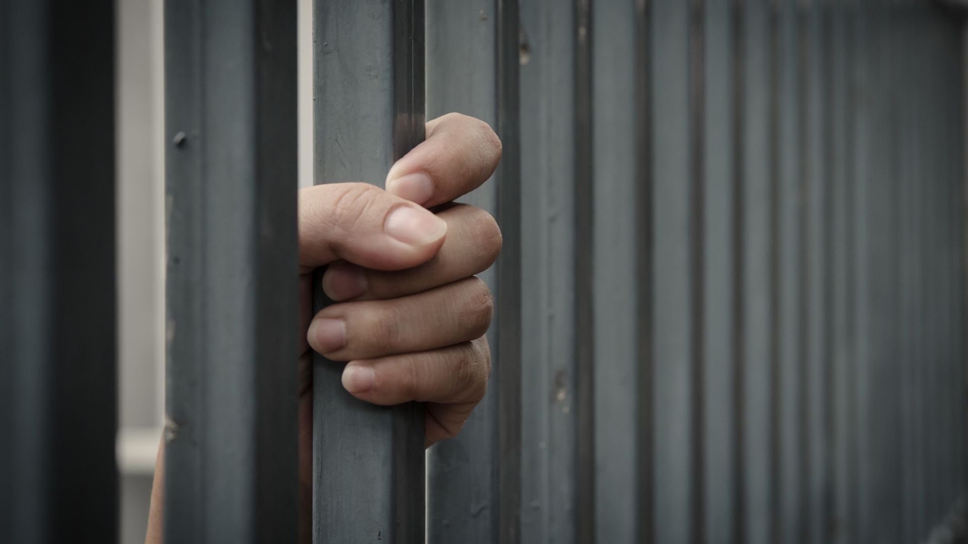 23 г. затвор за преводачка на Пентагона, шпионирала за "Хизбула"