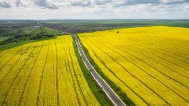 5 красиви шосета в България, по които да шофирате тази пролет