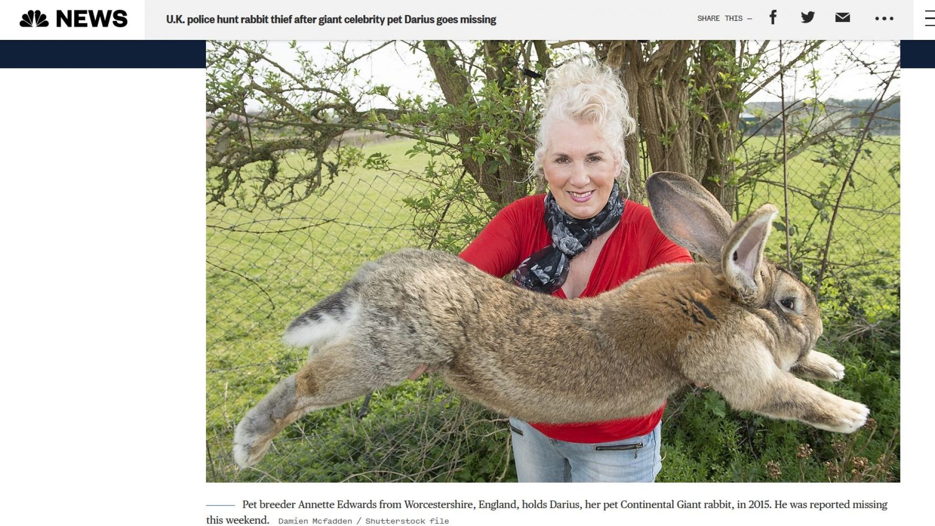 Най-големият заек на света беше откраднат от стопаните си в Англия