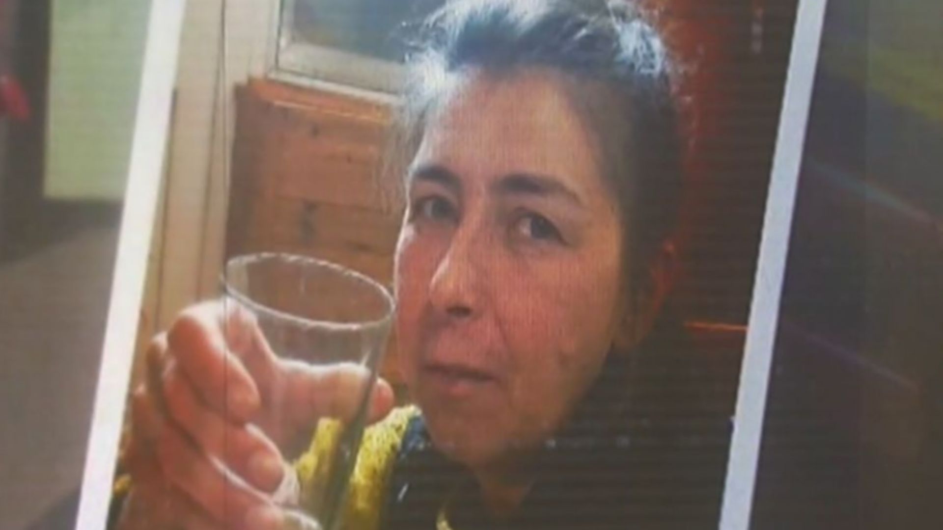 Издирват изчезнала 52-годишна жена от Кнежа