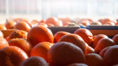 През първото тримесечие на 2021 година Българска агенция по безопасност