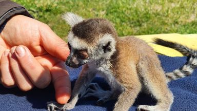 Вече стана традиция всяка пролет в Зоопарк Бургас да има