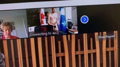Депутат от канадския парламент се появи гол на виртуално заседание