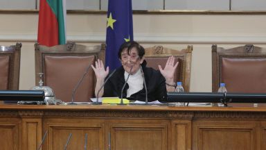 Не искам да употребя думата цирк защото в цирка хората