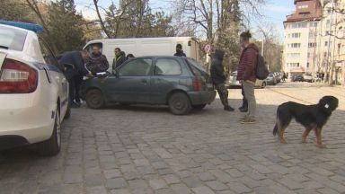 Ротвайлер разкъса и уби малко куче в близост до столичния