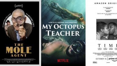 Документалният филм "My Octopus Teacher", изследваща връзката между човек и октопод, ще се бори за "Оскар"
