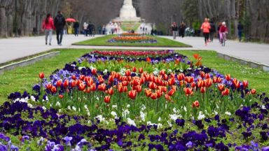 Броени дни преди големия християнски празник Цветница Морската градина на