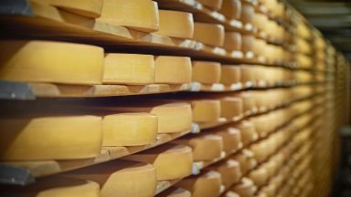 Липса на близо 38 тона кашкавал за Държавния резерв е