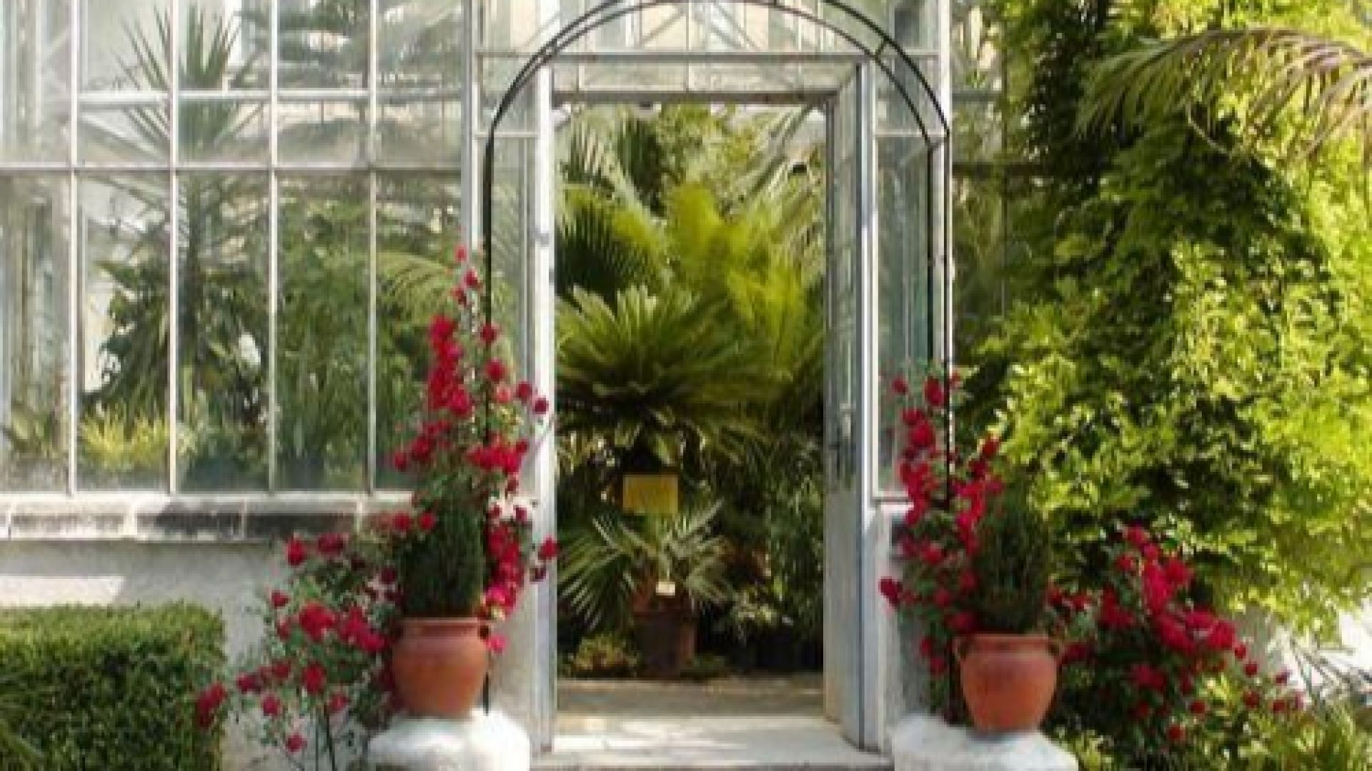 Ботаническата градина с вход свободен за Цветница