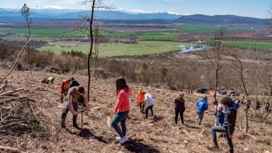 14 000 дръвчета бяха засадени край Севлиево в кампанията "Засади дърво, създай бъдеще"