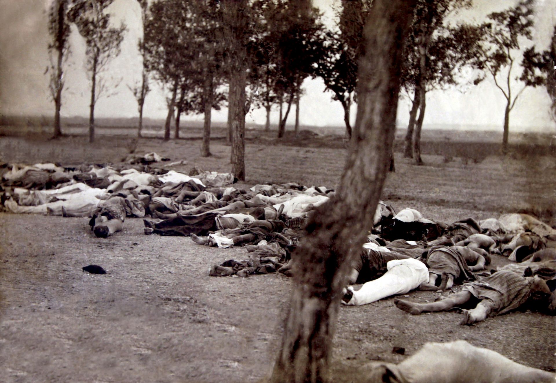 Архивни кадри с множество трупове по време на масовото клане през 1915 г.
