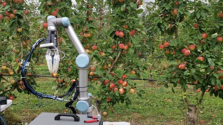 Робот бере ябълки: по една на 7 секунди