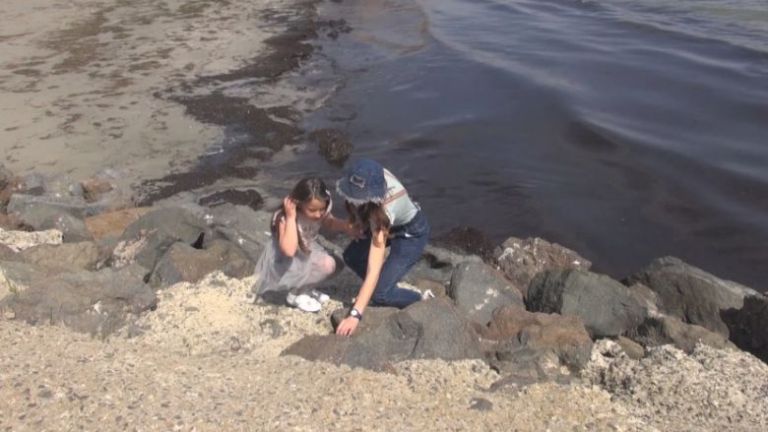 8-годишно момиче от Поморие откри изключително рядък скъпоценен камък, съобщи