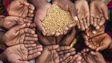 Глад, въоръжени конфликти и пандемия: над 155 мил. души живеят в хранителна криза