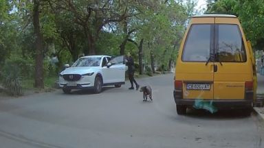 Видео което показва как две жени изоставят питбул на улица