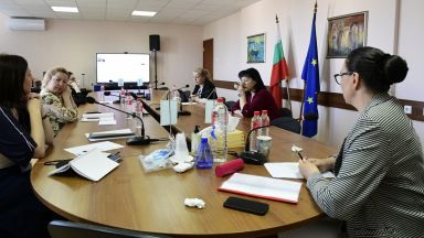 Съветът за електронни медии прие единодушно оставката Ивелина Димитрова която