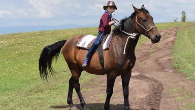 Кон който помага в терапията за деца със специфични нужди