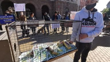 Десетки граждани и екоактивисти излязоха на жълтите павета с искане