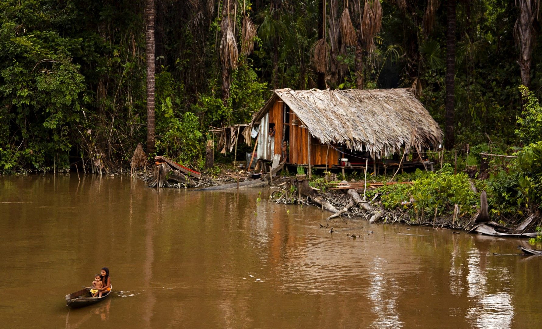 Колиба на местни хора на брега на Амазонка, Бразилия