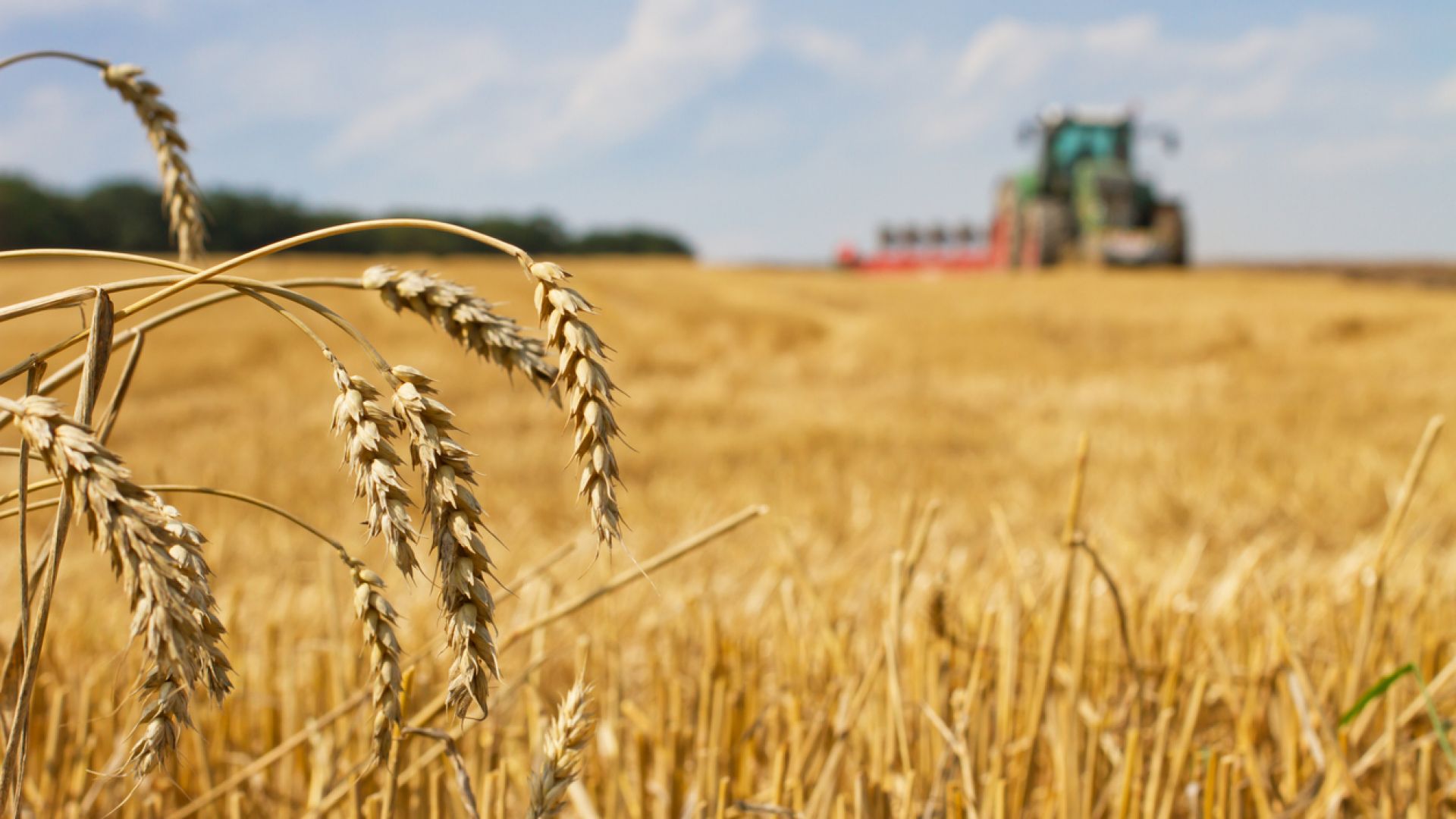 Зърнопроизводители: Внася се зърно от Украйна "по тъмно и на затворено"