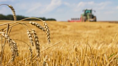 Украйна може да загуби милиони тонове зърно