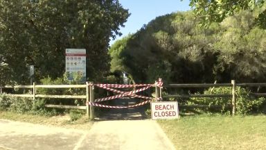 Сърфист почина след като беше нападнат от акула на плаж