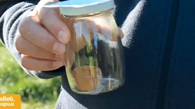 Само за няколко часа отрова разпръсната в градинка в столичния