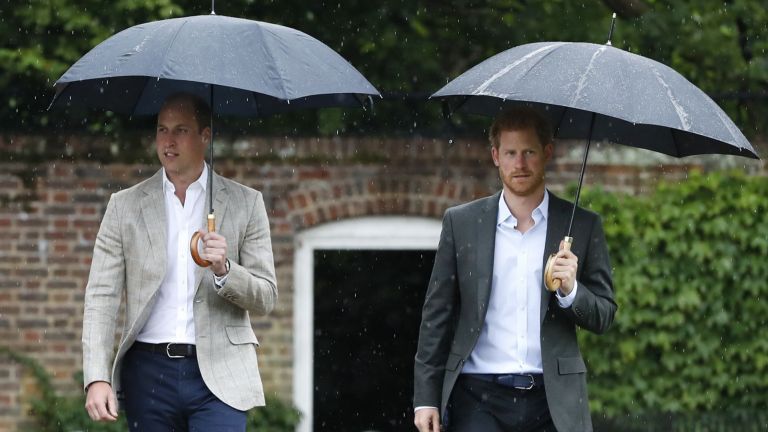 Will Princes Harry and William be able to bridge their differences?