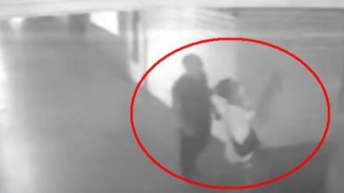 Вандалска проява е заснета в Бургас срещу защитен вид животни