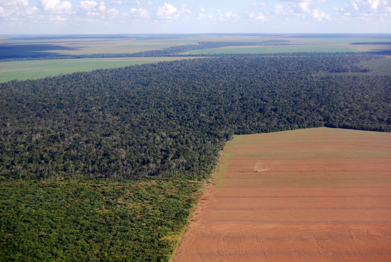 Изглед към изсечени гори в Амазония, Бразилия 
