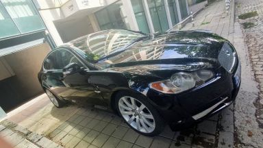 Ягуар ът на Софийската адвокатска колегия който от години предизвиква спорове