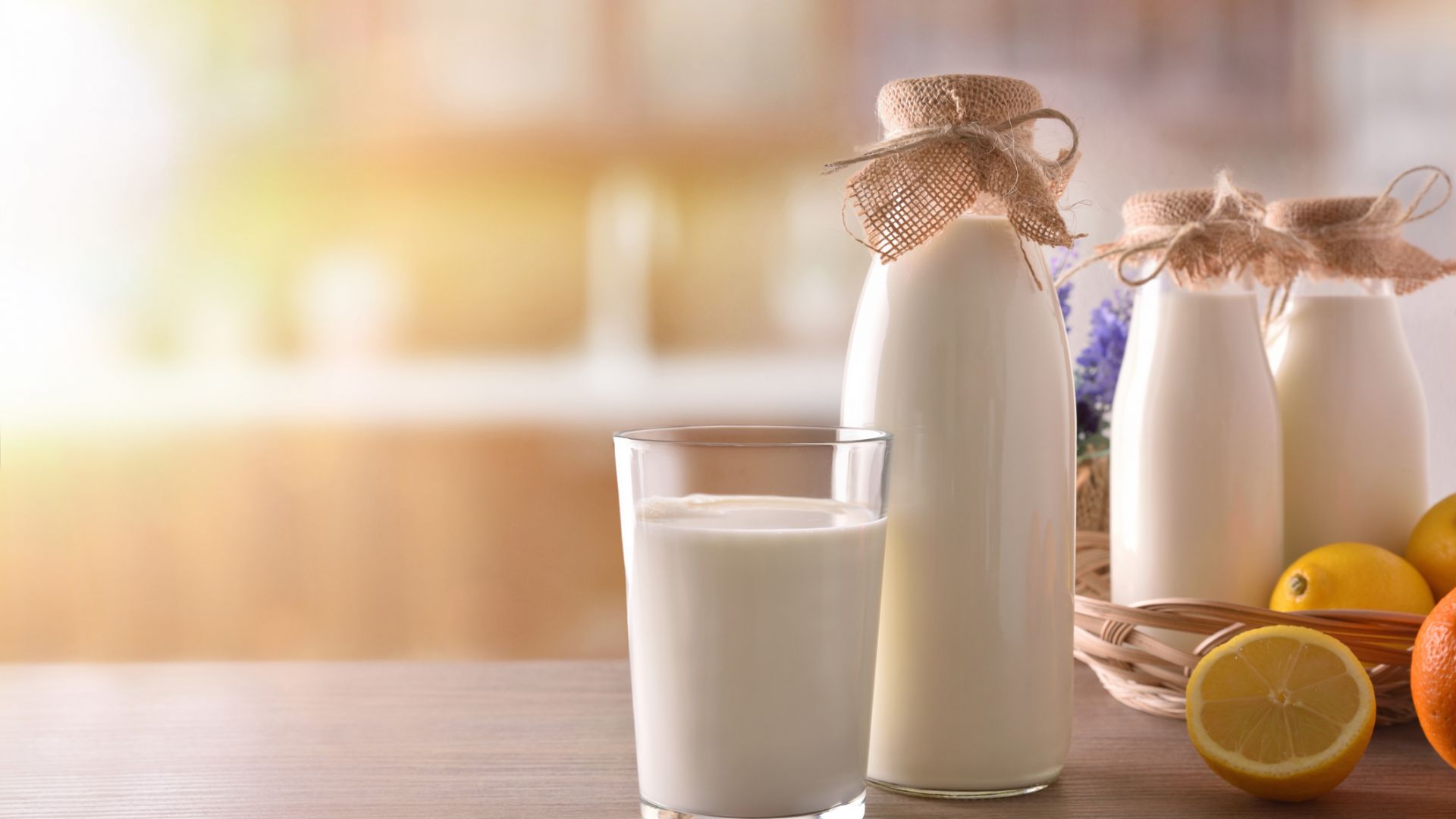 Агенцията по храните спря внос на над 700 кг млечни продукти от Турция