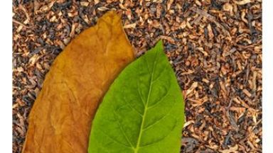 За повечето хора формулата C10H14N2 може да е неизвестна но