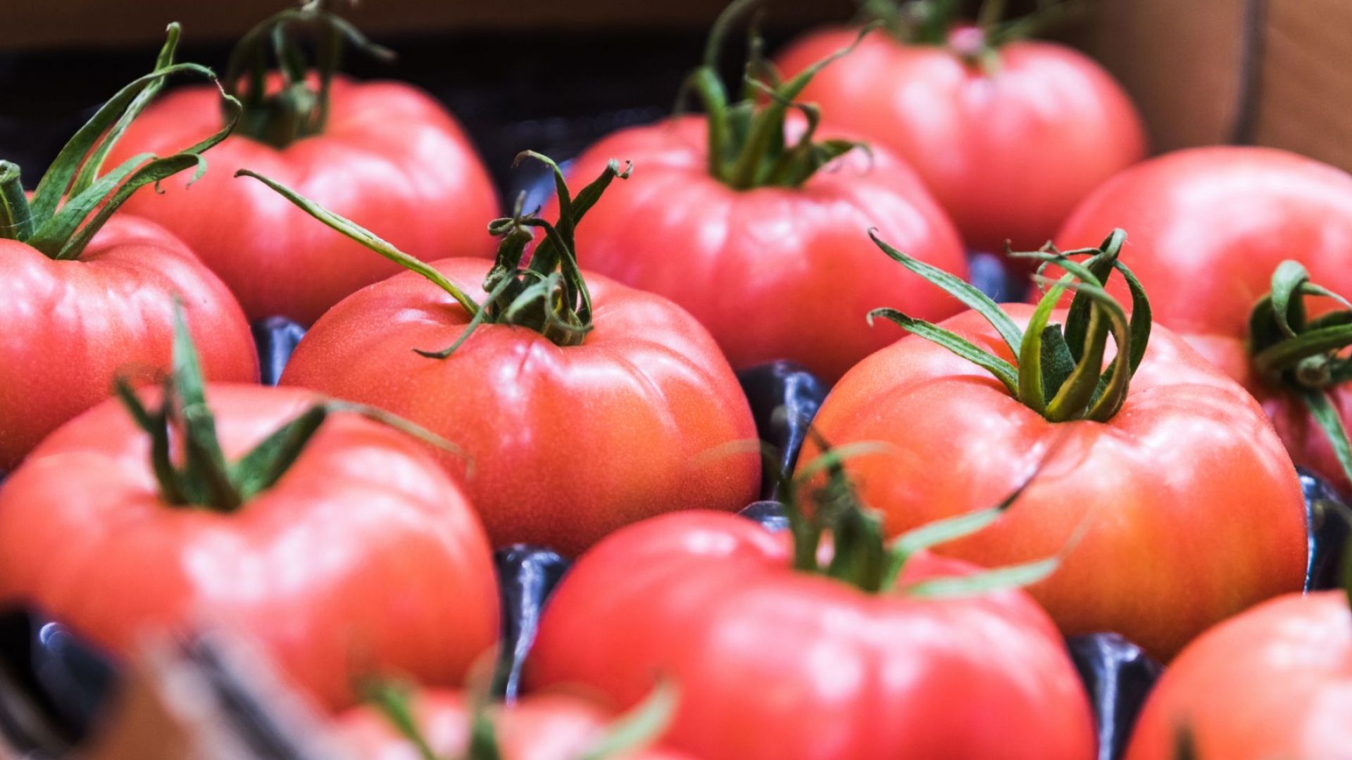 Розовият домат: Символ на България в 24 страни