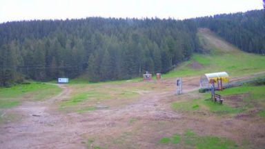 Потвърдено бе премахването на ски влек "Меча поляна" в парк "Витоша"
