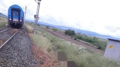 Пастирът на блъснатото от влак стадо крави край гара Кермен