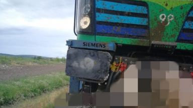 Бързият влак Бургас-София блъсна стадо крави, 22 животни загинаха