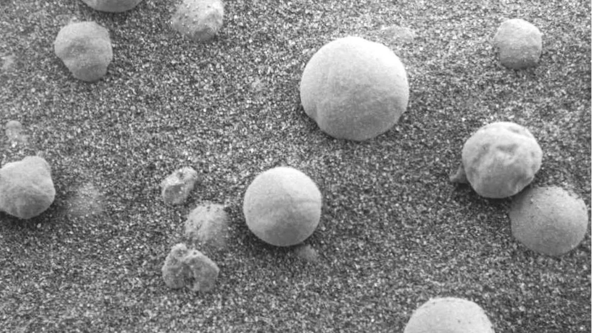 Астроном от СУ: На Марс няма извънземни микроорганизми