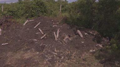 Десетки незаконно загробени животни откриха в землището на пловдивското село