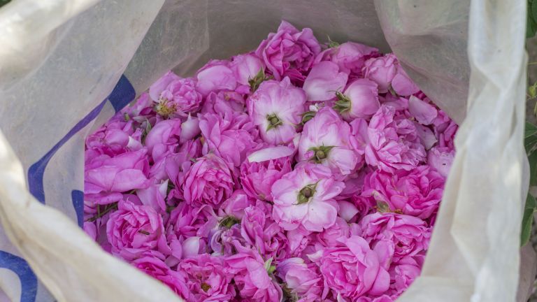 Европейската комисия одобри българска схема в размер на 1,5 милион