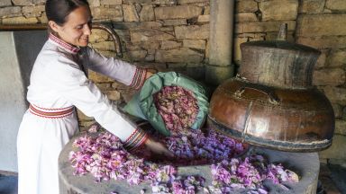 Българското розово масло вече е под егидата на Световната организация по интелектуална собственост