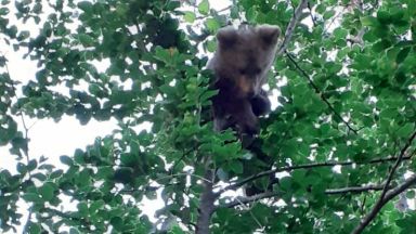 Екип на Регионалната инспекция по околна среда и води РИОСВ