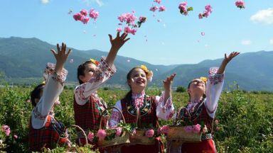 Царицата на цветята символът на любовта и течното злато тази